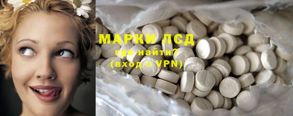 стафф Арсеньев