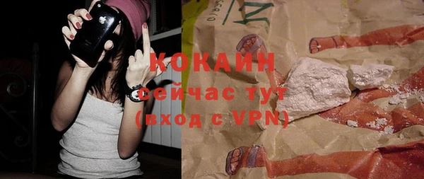 стафф Арсеньев